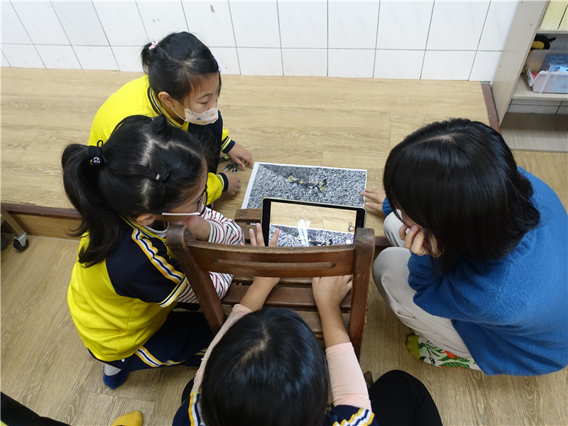 四年級利用iPad拍攝素材並後製