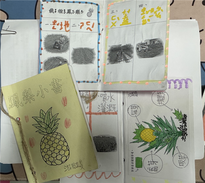 鳳梨小書成品