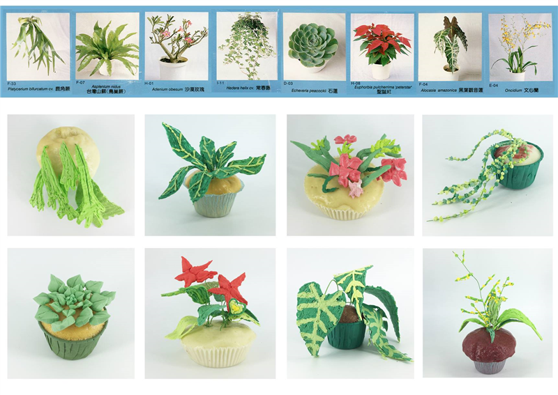 植物杯子蛋糕＿崇明國中學生作品