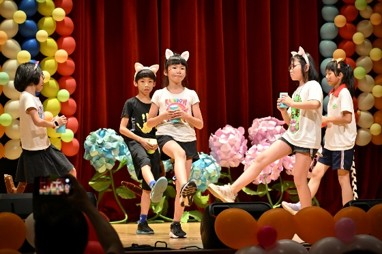 貓咪踢踏舞表演