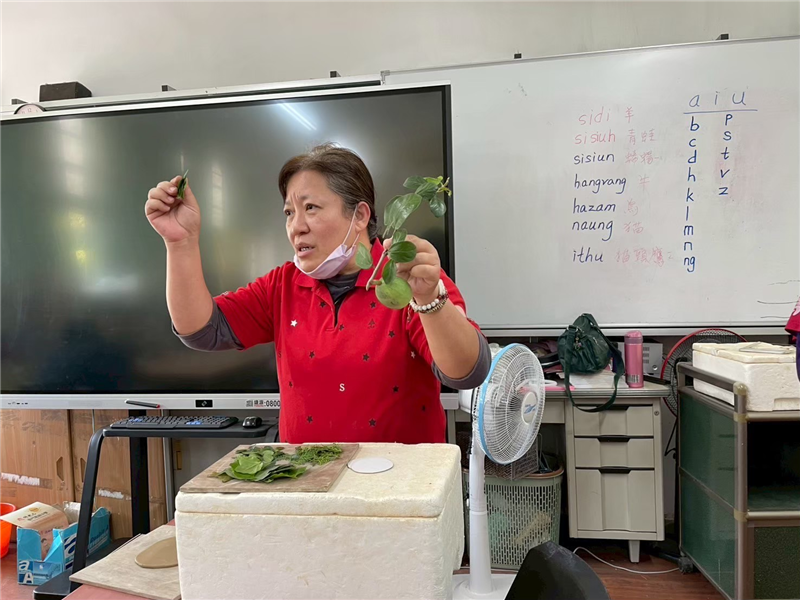 高雄市寶來國小-113學年度教育部藝術深耕教學計畫-陶寶藝起來_封面照片