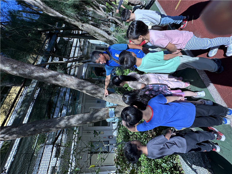 木藝老師帶學生至校園認識樹木