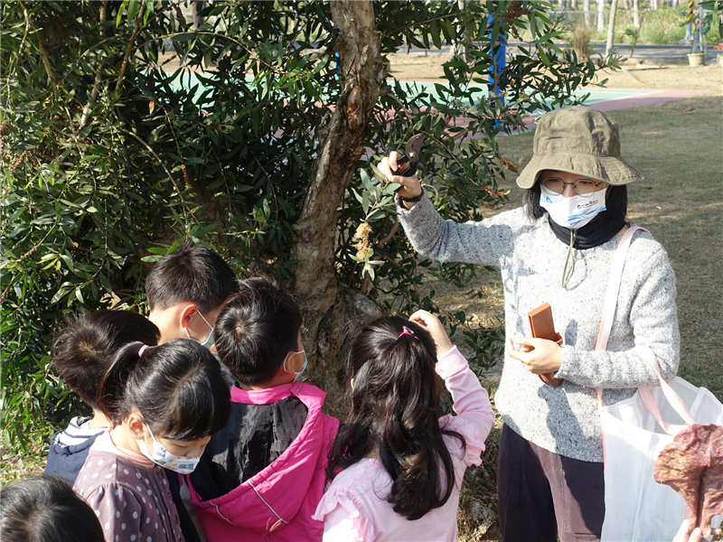 臺南市官田區嘉南國小111學年度藝文深耕計畫 嘉南囝仔  美學創藝_封面照片