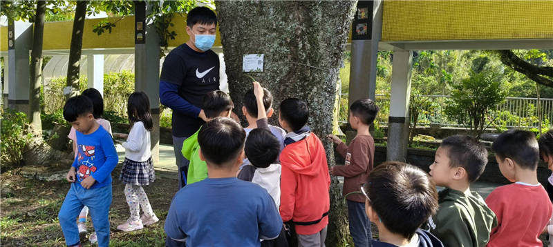 民義「土」「木」「藝」術家_封面照片