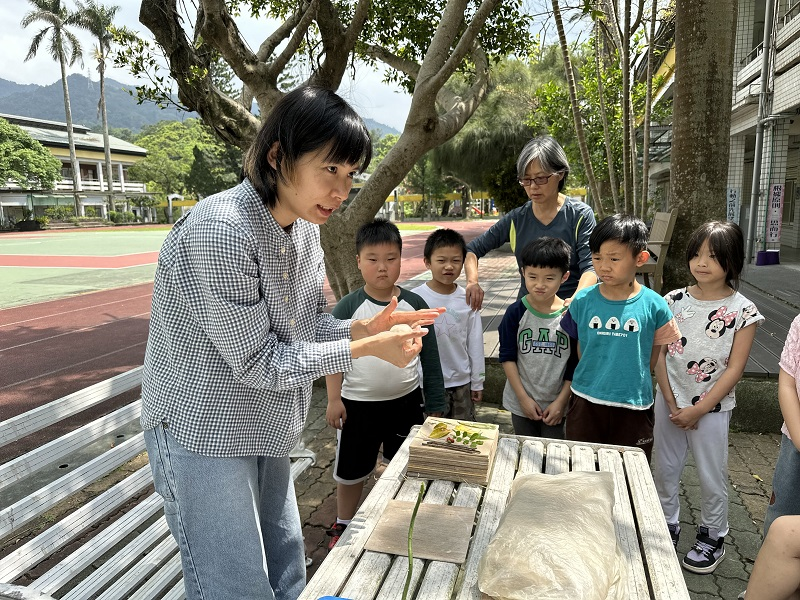 到校園蒐集植物素材進行壓陶