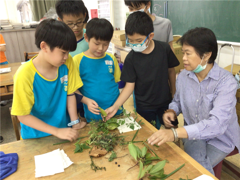 認識植物特性
