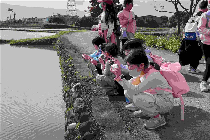 三、四年級至校園外水田外拍