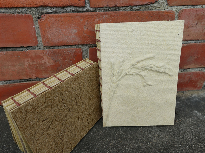 探索自然，認識生活中常見的植物，萃纖抄紙，了解紙張得來不易。