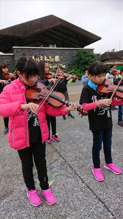 台北動物園小提琴表演