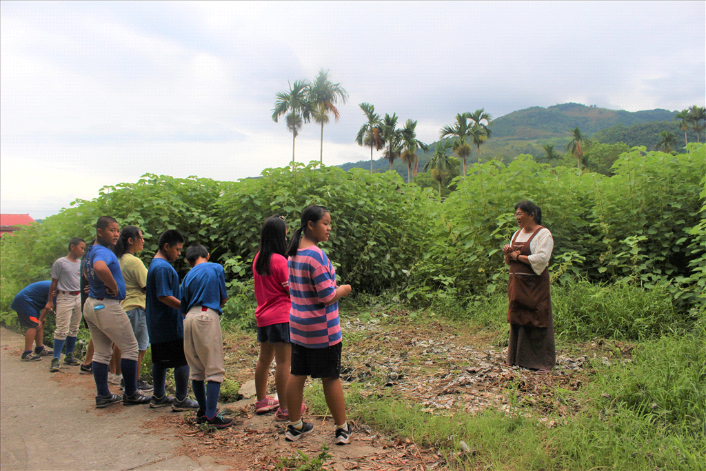 布農族的苧麻魔法