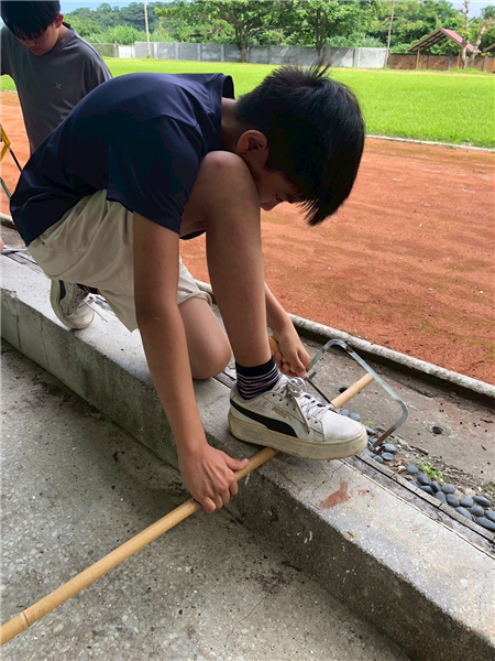 鋸箭竹